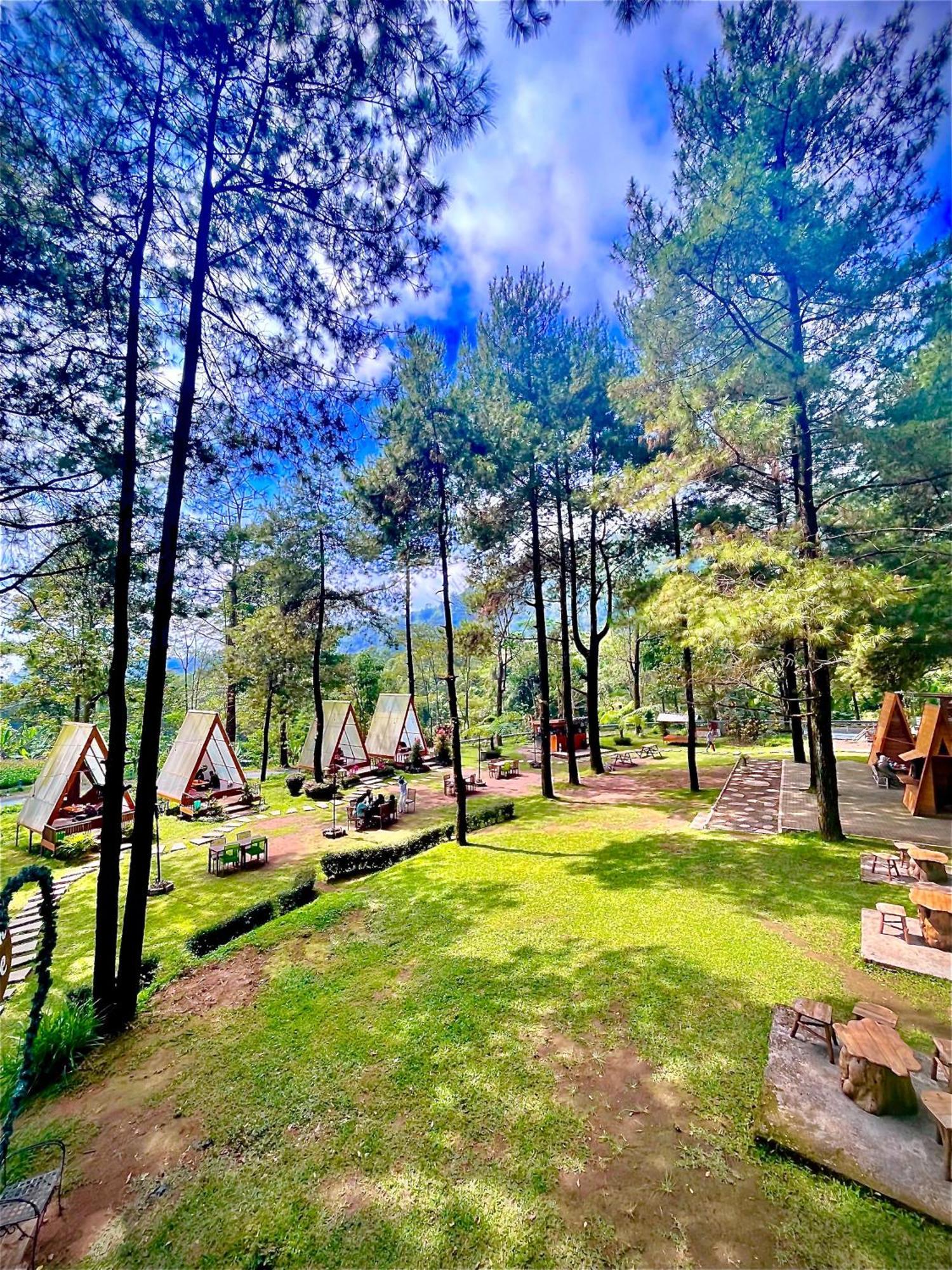 Grand Whiz Hotel Bromo Exterior foto