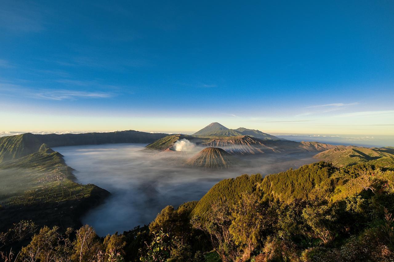 Grand Whiz Hotel Bromo Exterior foto
